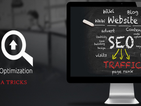 Top SEO Experts In New Zealand