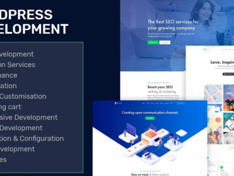 Top 10 WordPress Developers