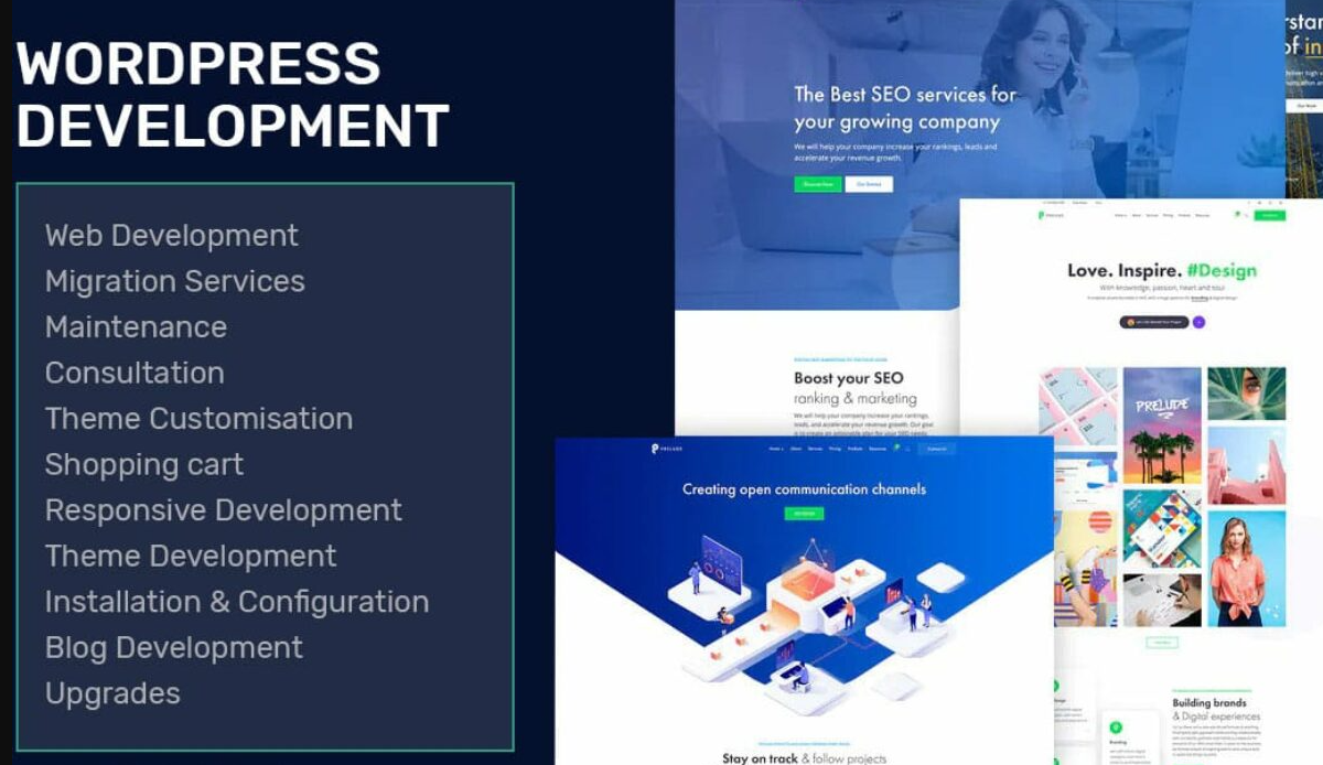 Top 10 WordPress Developers