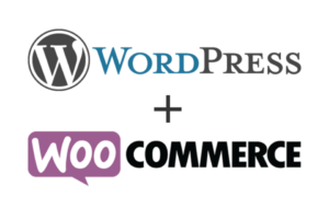 WordPress and woo commerce experts