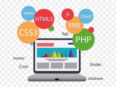 Web Development Company in Udaipur