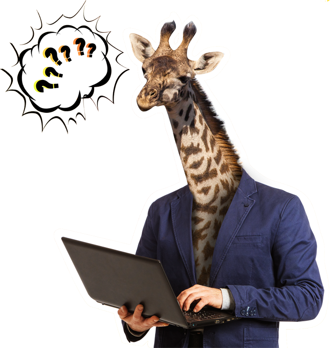 eCommerce Development Company