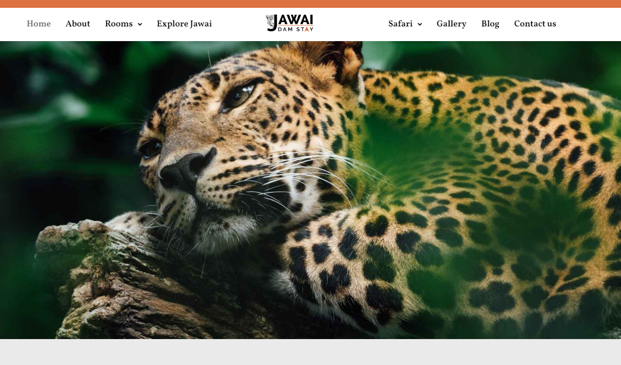 website development company