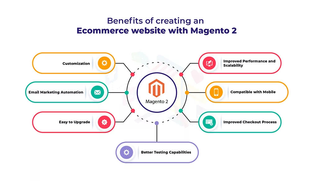 Creating a Magento e-commerce website