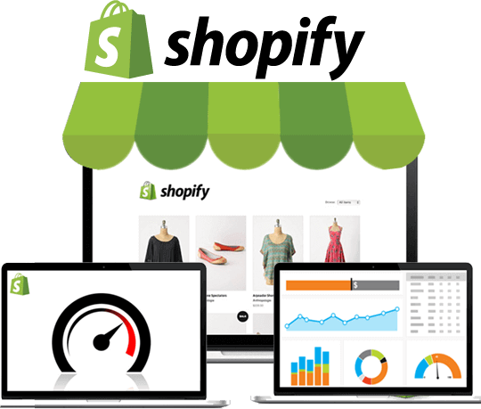 Shopify website design company in jaipur