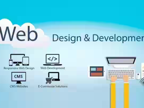 website development company in jaipur