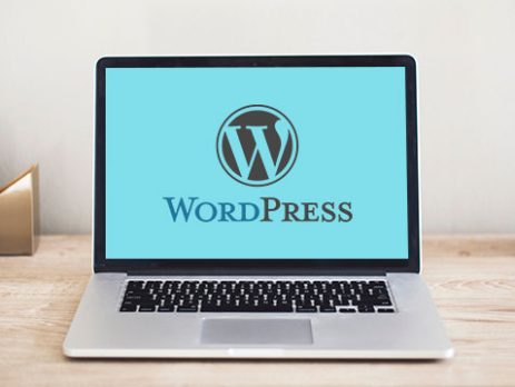 How to Developing a WordPress site