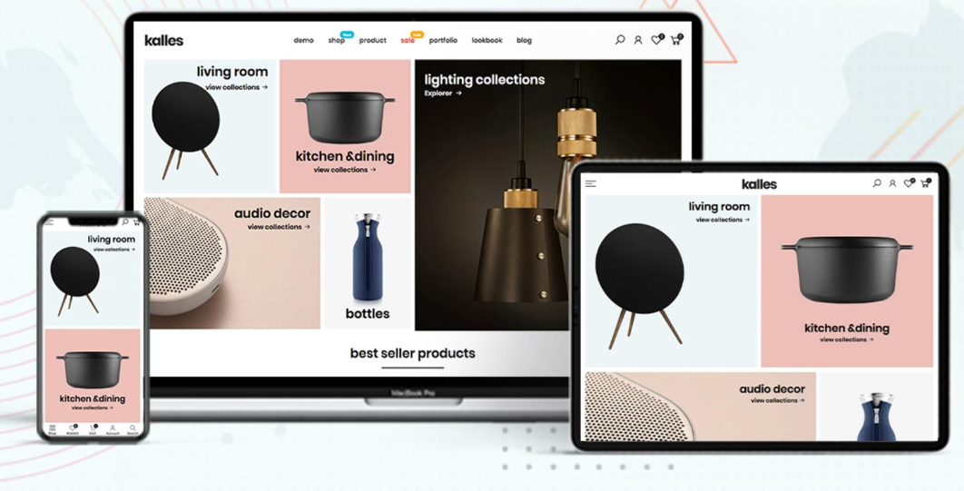 shopify-developer-freelancer-in-india-3